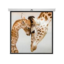 Carregar imagem no visualizador da galeria, Tela de Projeção Retrátil Sumay TRQS110 2,00X2,00m