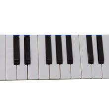 Carregar imagem no visualizador da galeria, Escaleta Melódica 27 Teclas Azul New York
