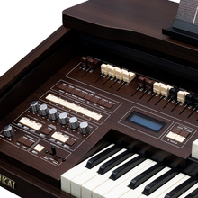 Carregar imagem no visualizador da galeria, Órgão Tokai T1-SPINET