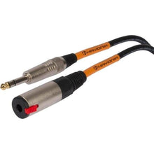 Carregar imagem no visualizador da galeria, Cabo Extensor Player P10 (F) x P10 (M) 10m Preto Hayonik
