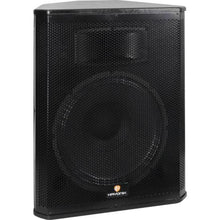 Carregar imagem no visualizador da galeria, Caixa Acústica Passiva Hayonik CX-HK15P
