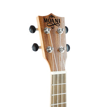 Carregar imagem no visualizador da galeria, Ukulele Moani KAMUA Concerto 23&#39;&#39; Sapele UK05-NS-23
