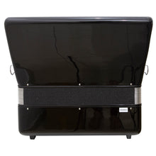 Carregar imagem no visualizador da galeria, Acordeon 80 Baixos 37 Teclas Ta 8009 Preto Thommasi
