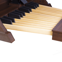 Carregar imagem no visualizador da galeria, Órgão Tokai T1-CONCERT
